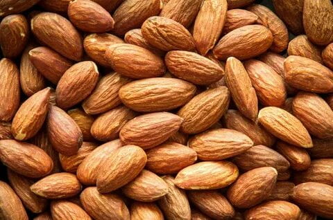 تصویر 1 از قیمت و خرید بادام درختی تلخ + فروش ارزان